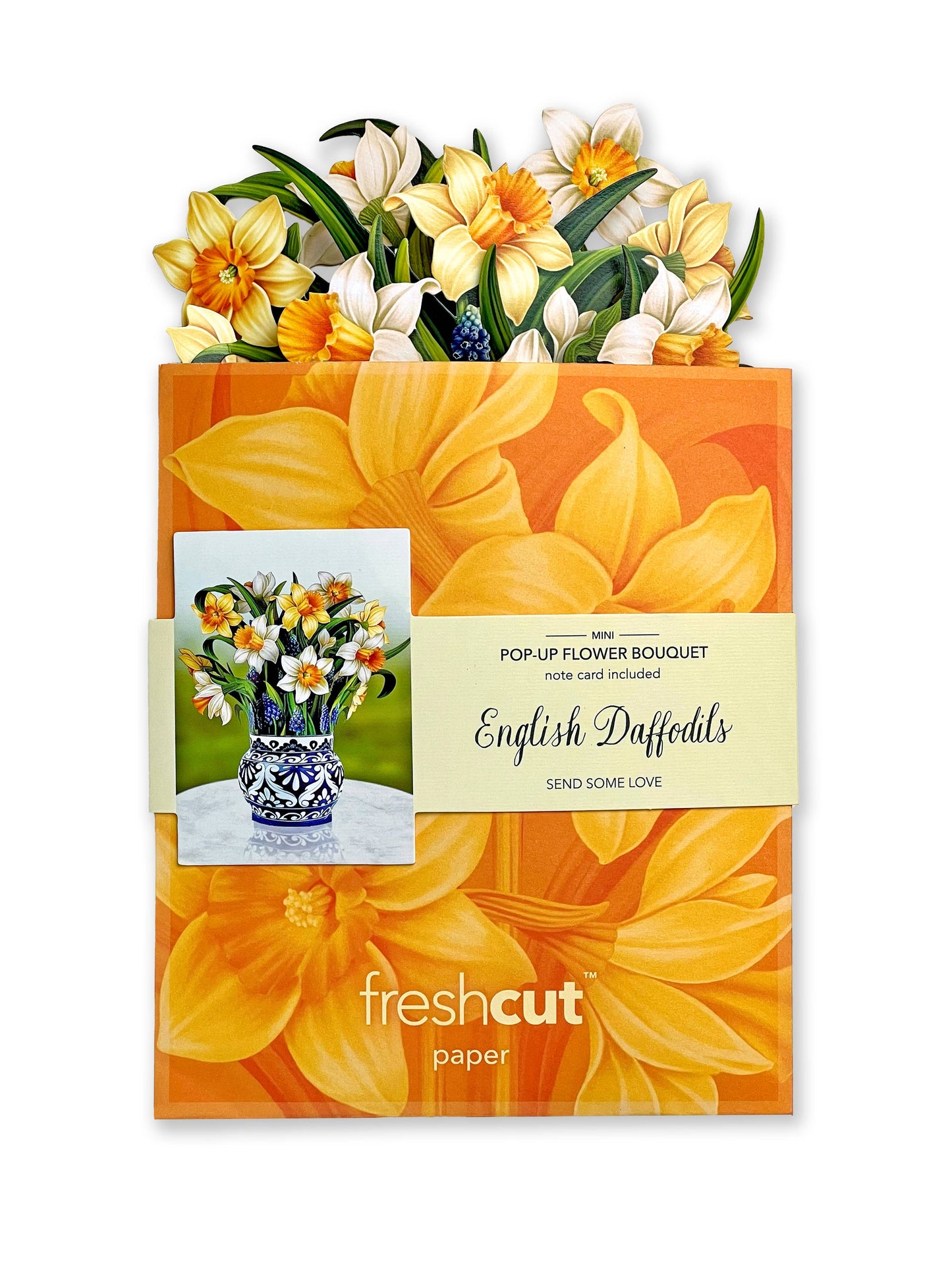 FreshCut Paper LLC - Mini English Daffodils (10 Pop-up Greeting Cards)