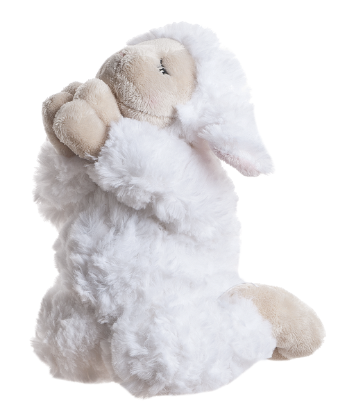 Praying Lamb