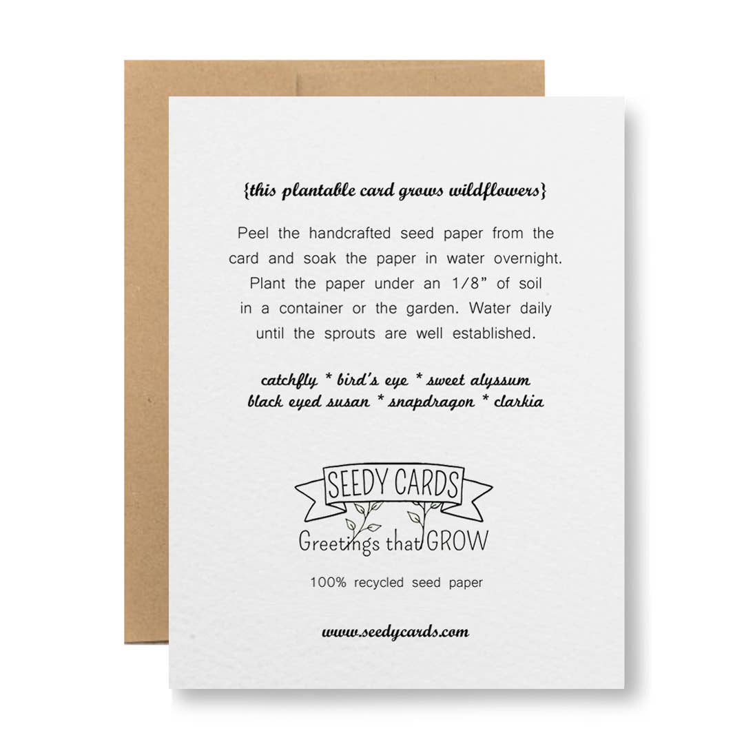 Seedy Cards - Plantable Seed Paper Greeting Card - Happy Birthday