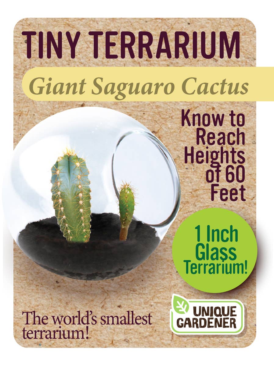 Silver Circle Products - Tiny Terrarium Cactus Counter Display with 6 Varieties