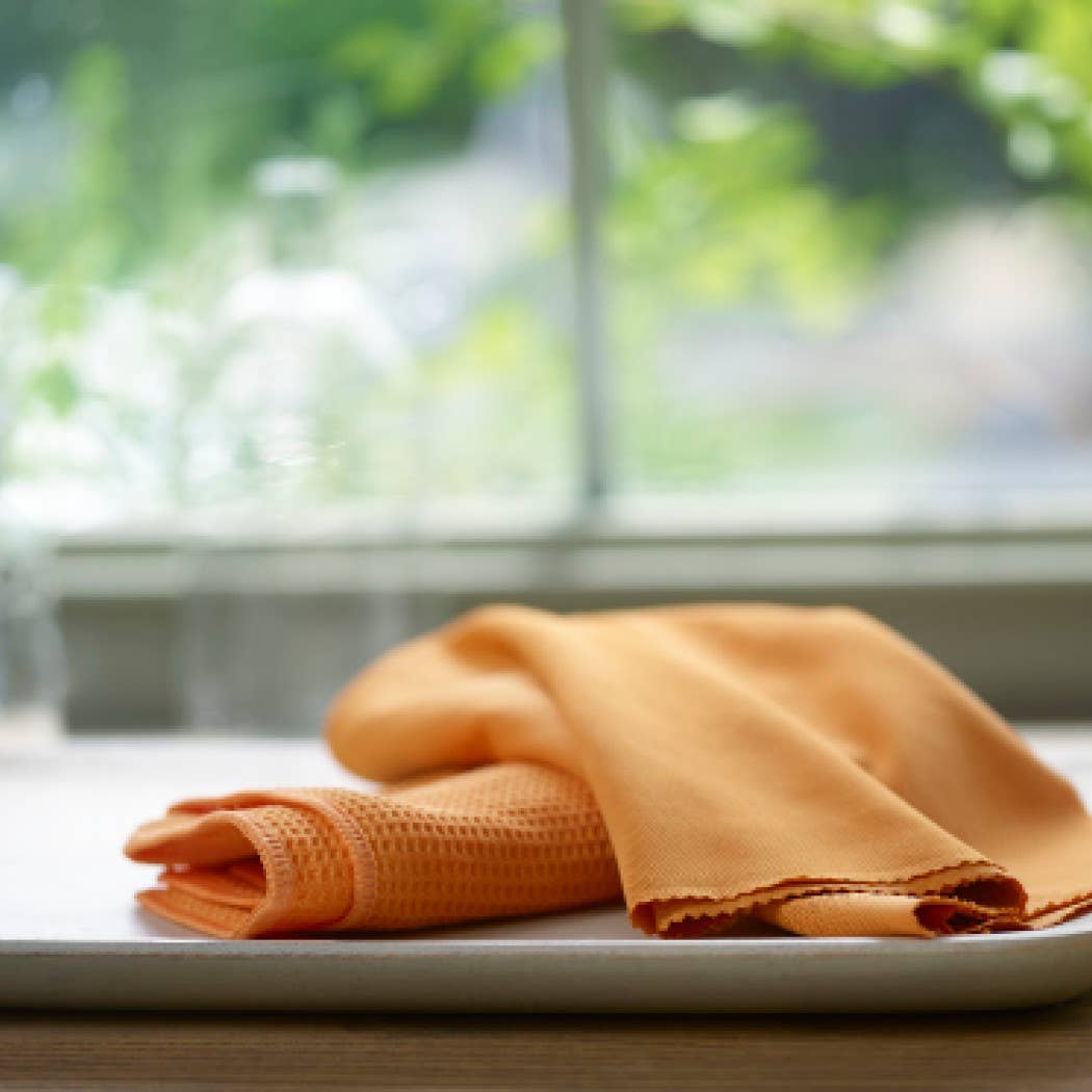E-Cloth - Window Cleaning Cloth Kit