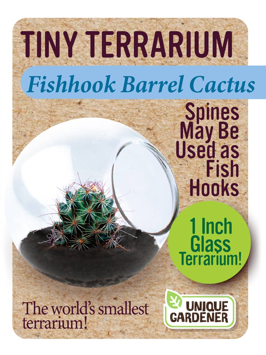 Silver Circle Products - Tiny Terrarium Cactus Counter Display with 6 Varieties