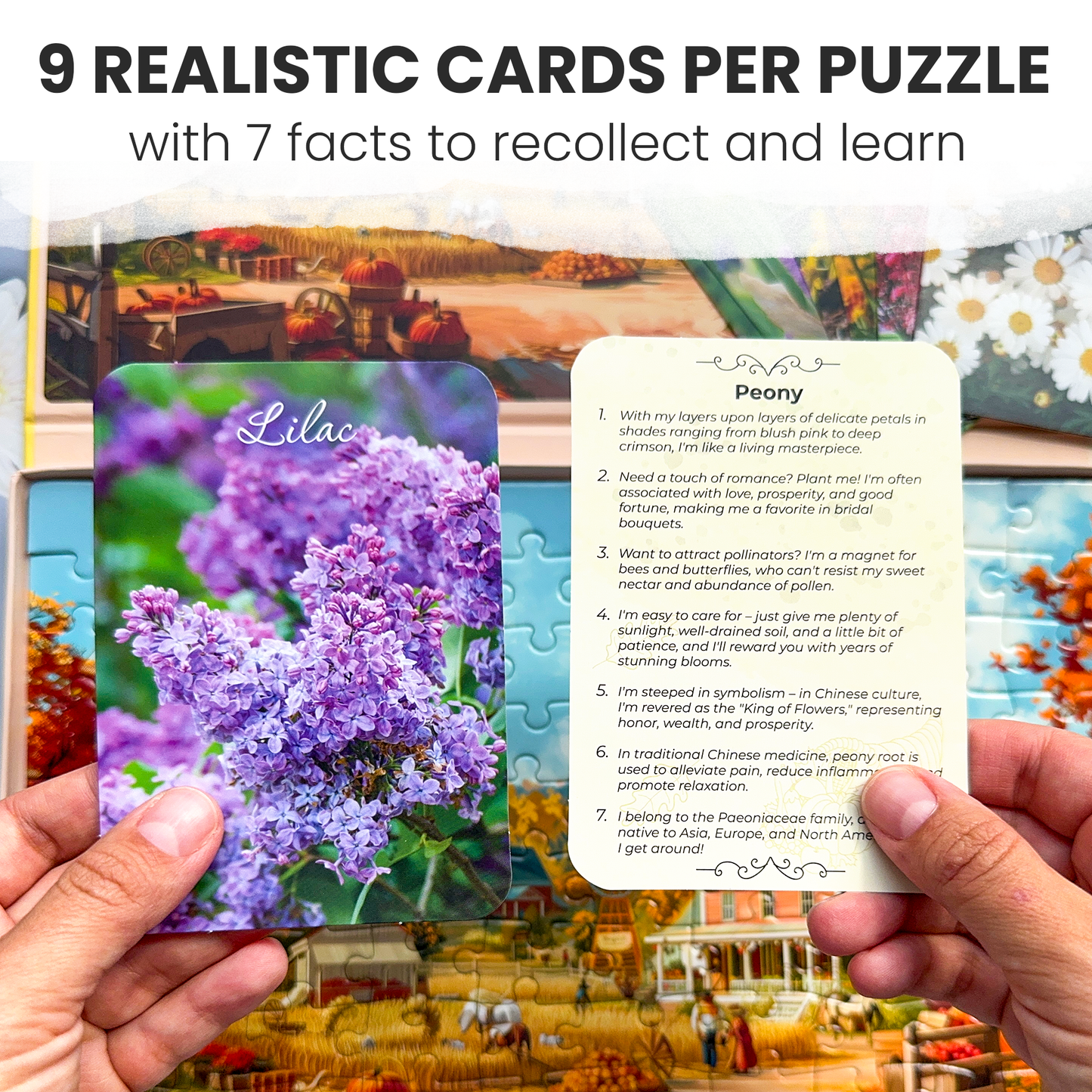 QUOKKA - Dementia Puzzles for Elderly with cards | 3xSET