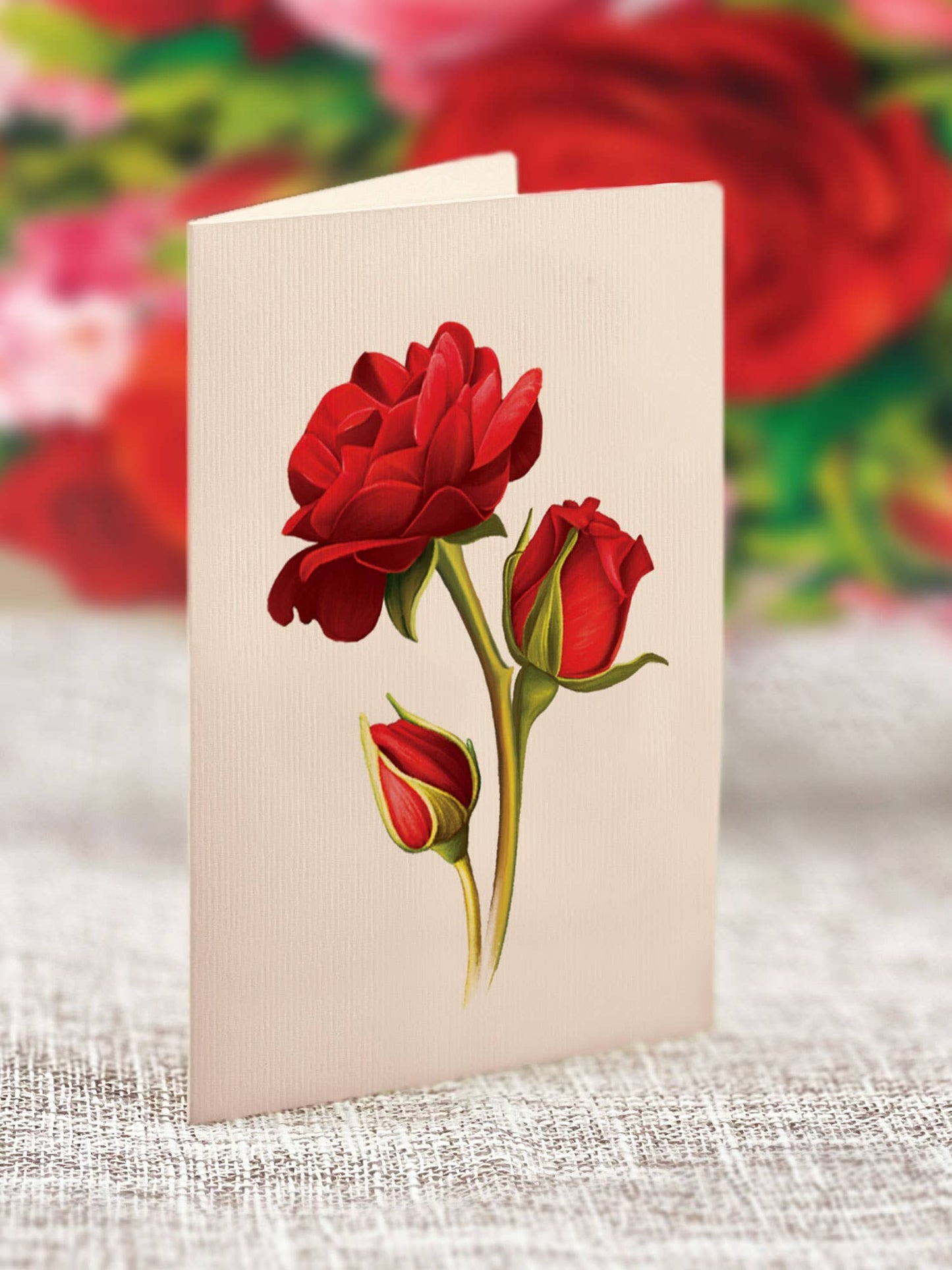 FreshCut Paper LLC - Mini Blooming Roses (Pop-up Greeting Cards)