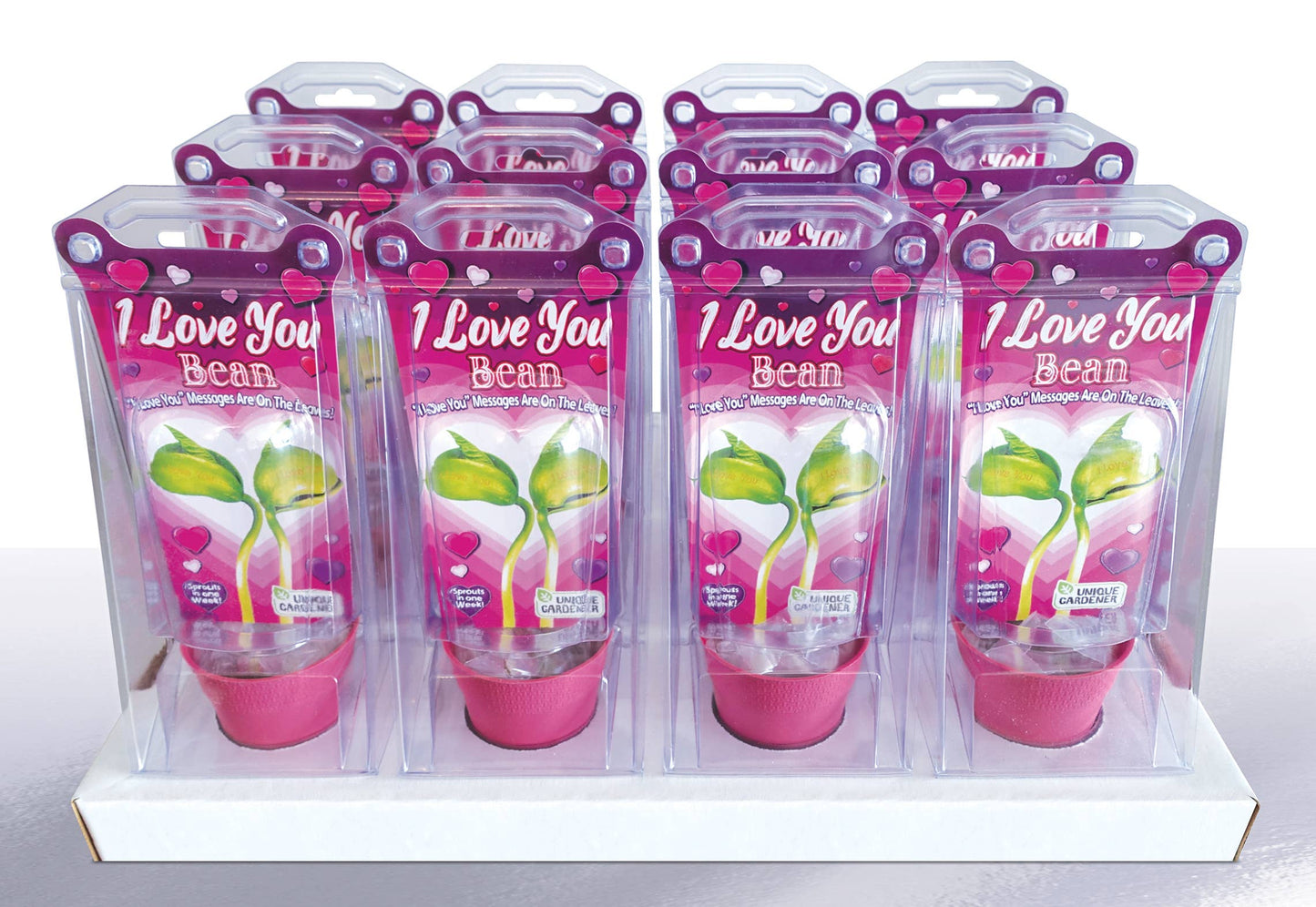 Silver Circle Products - I Love You Bean Terrarium 12 Piece Counter Display
