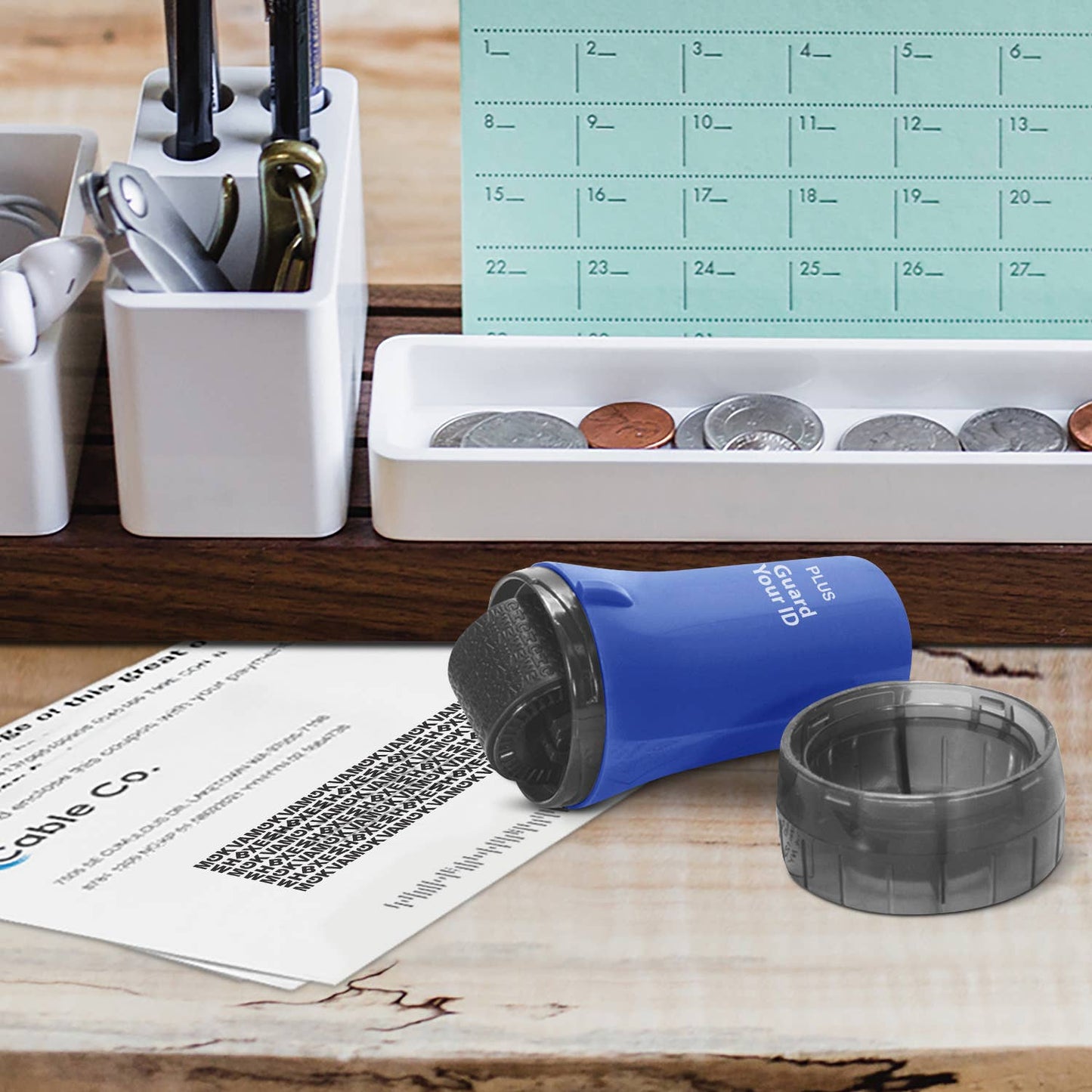 PLUS CORPORATION OF AMERICA - Guard Your ID Advanced Regular Roller. Color will be random.