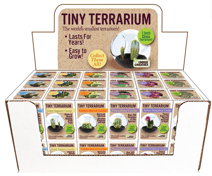 Silver Circle Products - Tiny Terrarium Cactus Counter Display with 6 Varieties