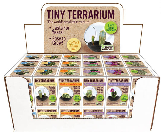 Silver Circle Products - Tiny Terrarium Cactus Counter Display with 6 Varieties