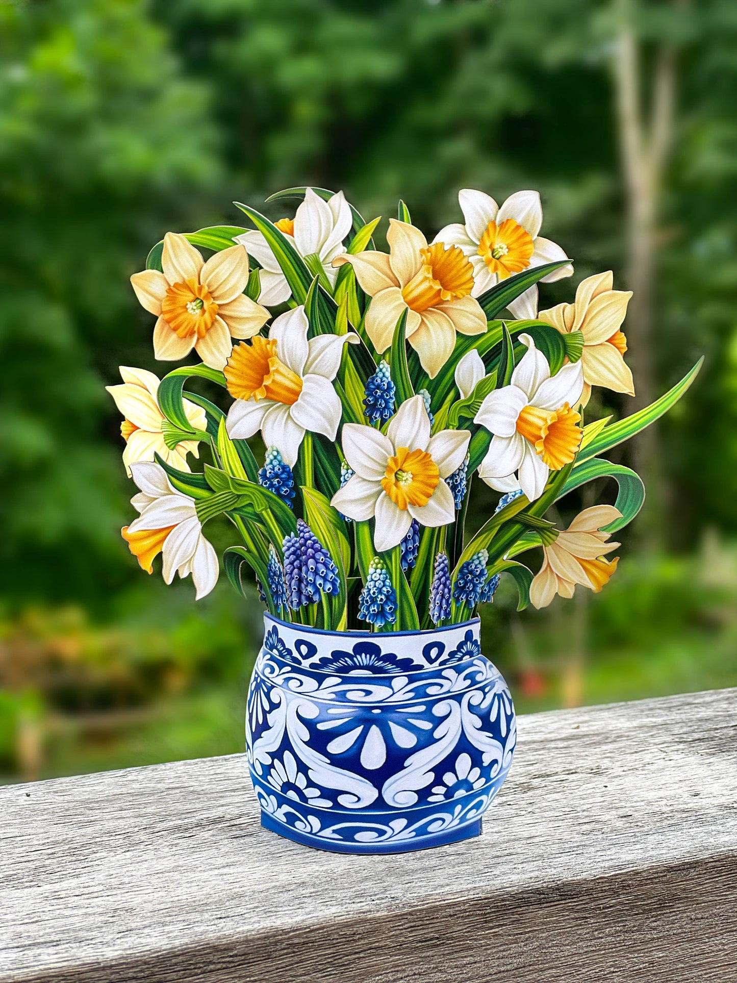 FreshCut Paper LLC - Mini English Daffodils (10 Pop-up Greeting Cards)