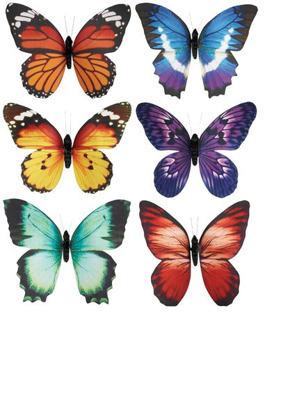 Magnet, Paper Butterfly