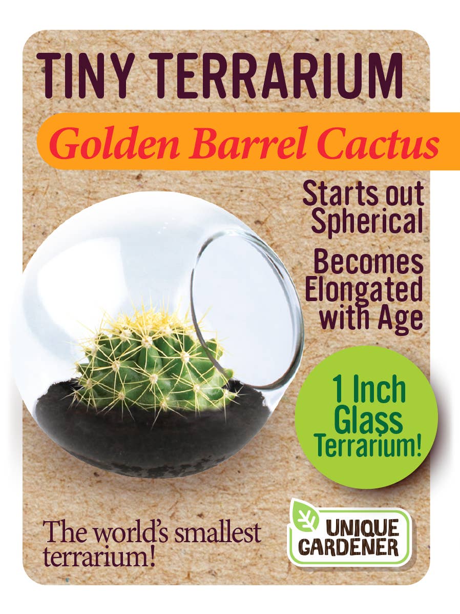 Silver Circle Products - Tiny Terrarium Cactus Counter Display with 6 Varieties