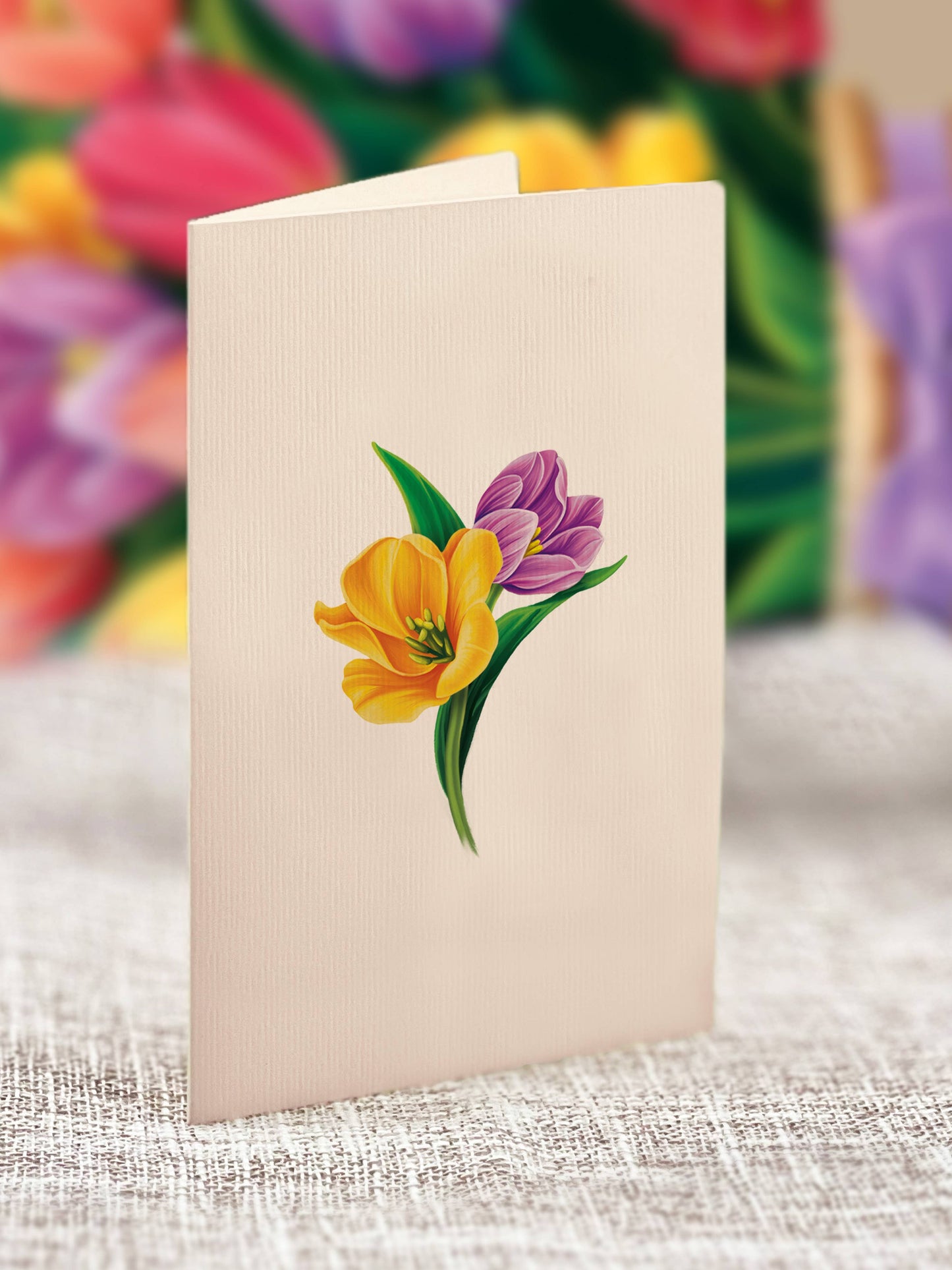 FreshCut Paper LLC - Mini Festive Tulips (10 Pop-up Greeting Cards)