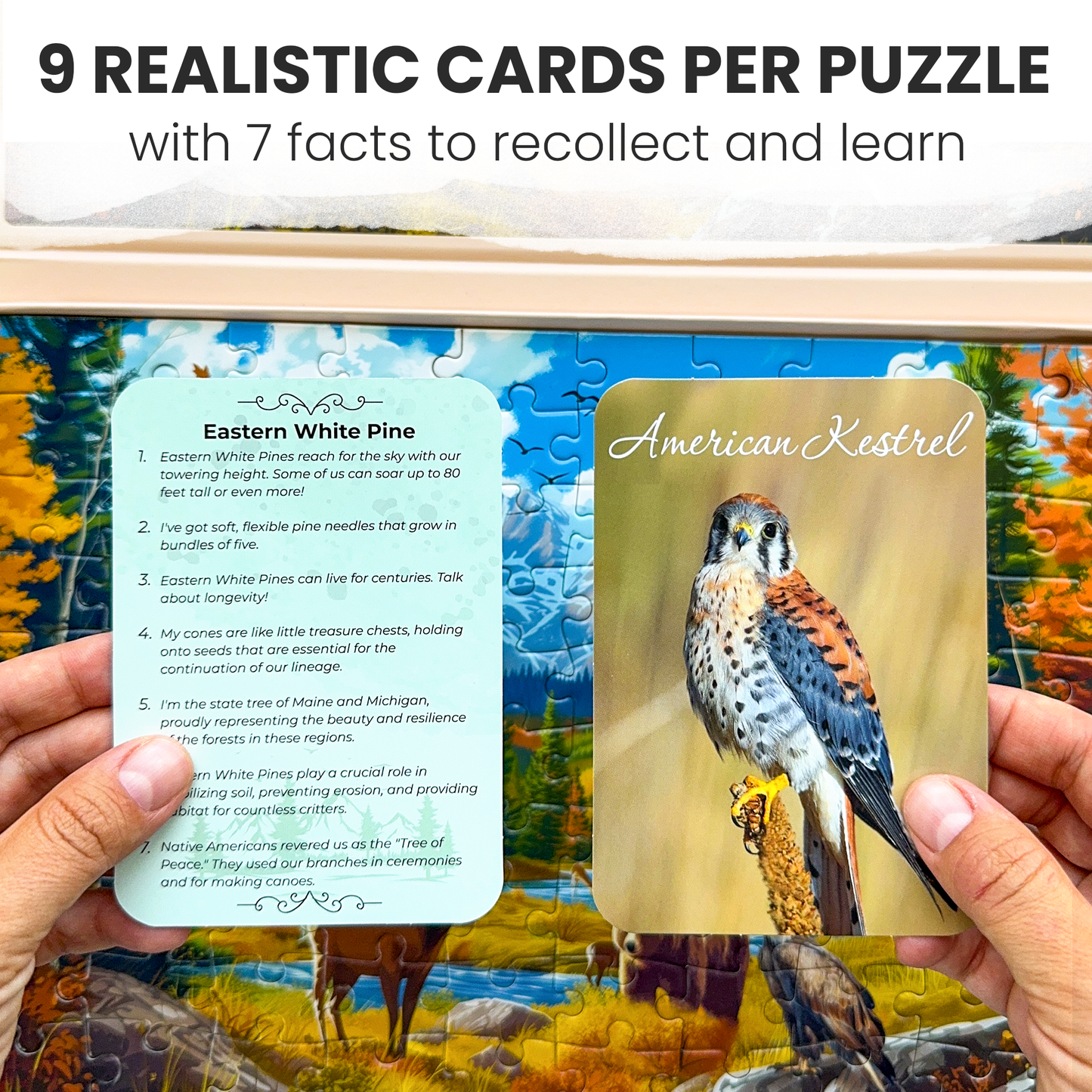 QUOKKA - Dementia Puzzles for Elderly with cards | 3xSET