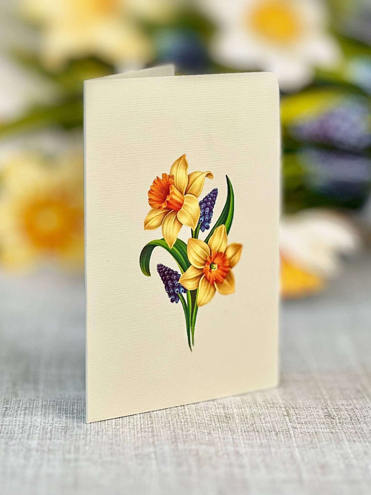 FreshCut Paper LLC - Mini English Daffodils (10 Pop-up Greeting Cards)