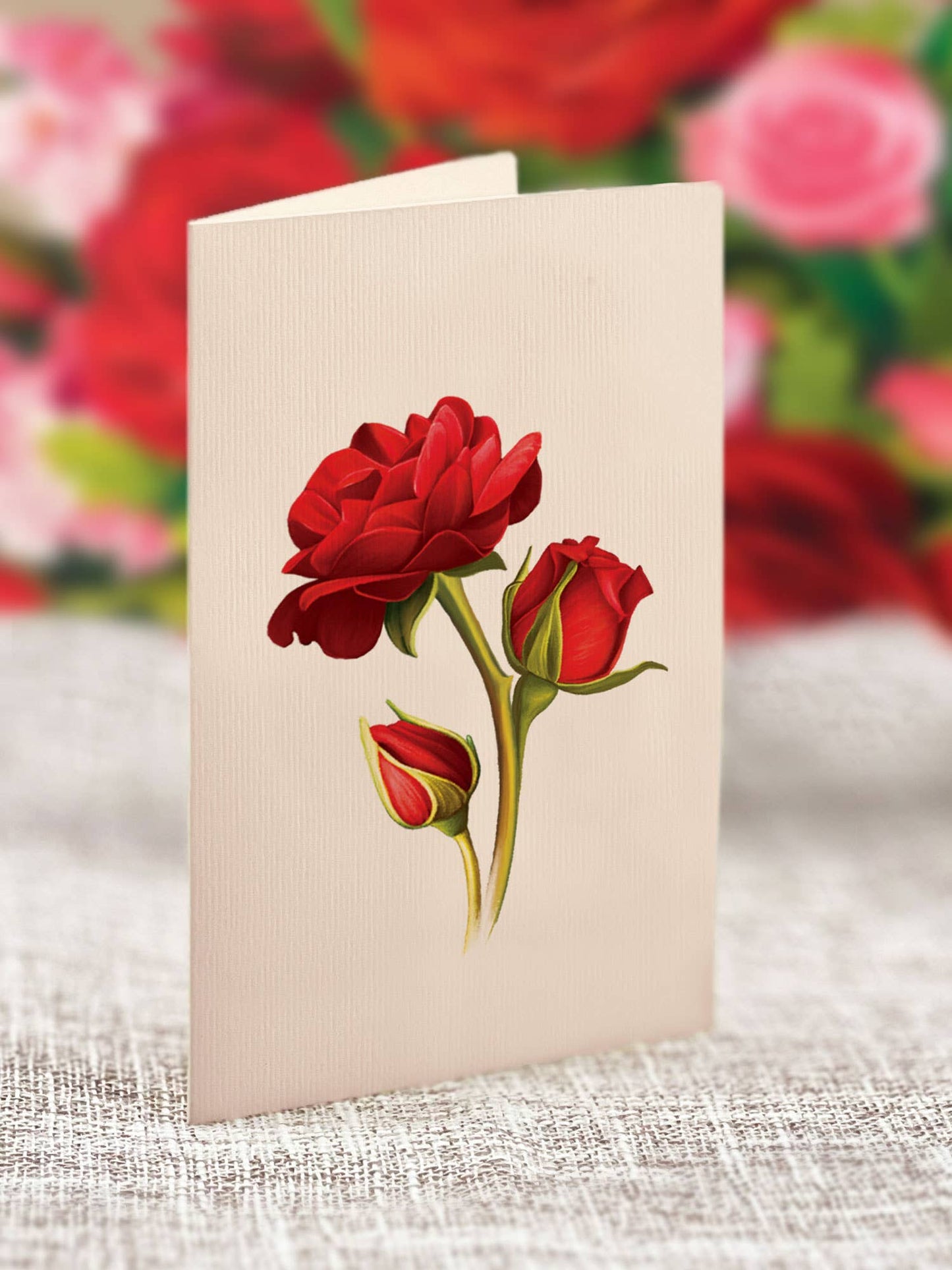 FreshCut Paper LLC - Blooming Roses (Pop-up Greeting Cards)