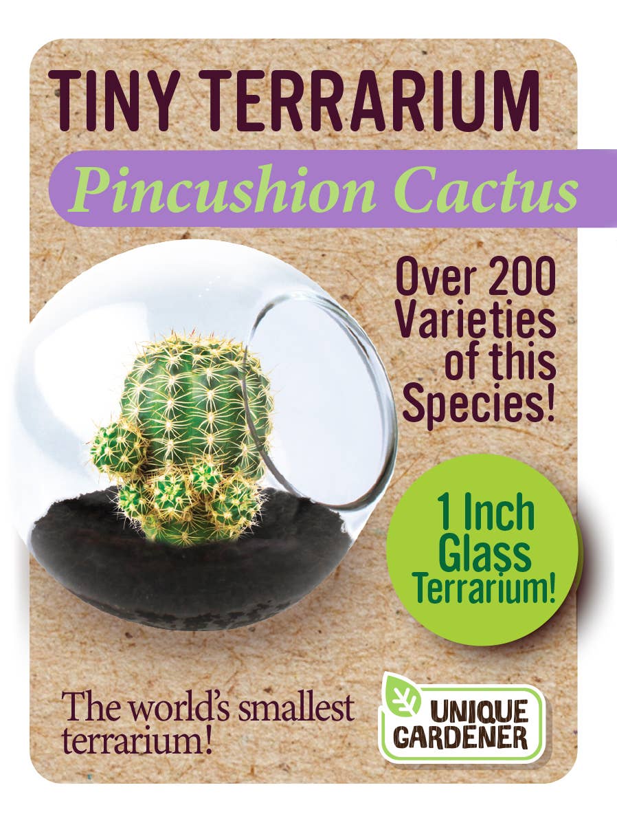 Silver Circle Products - Tiny Terrarium Cactus Counter Display with 6 Varieties