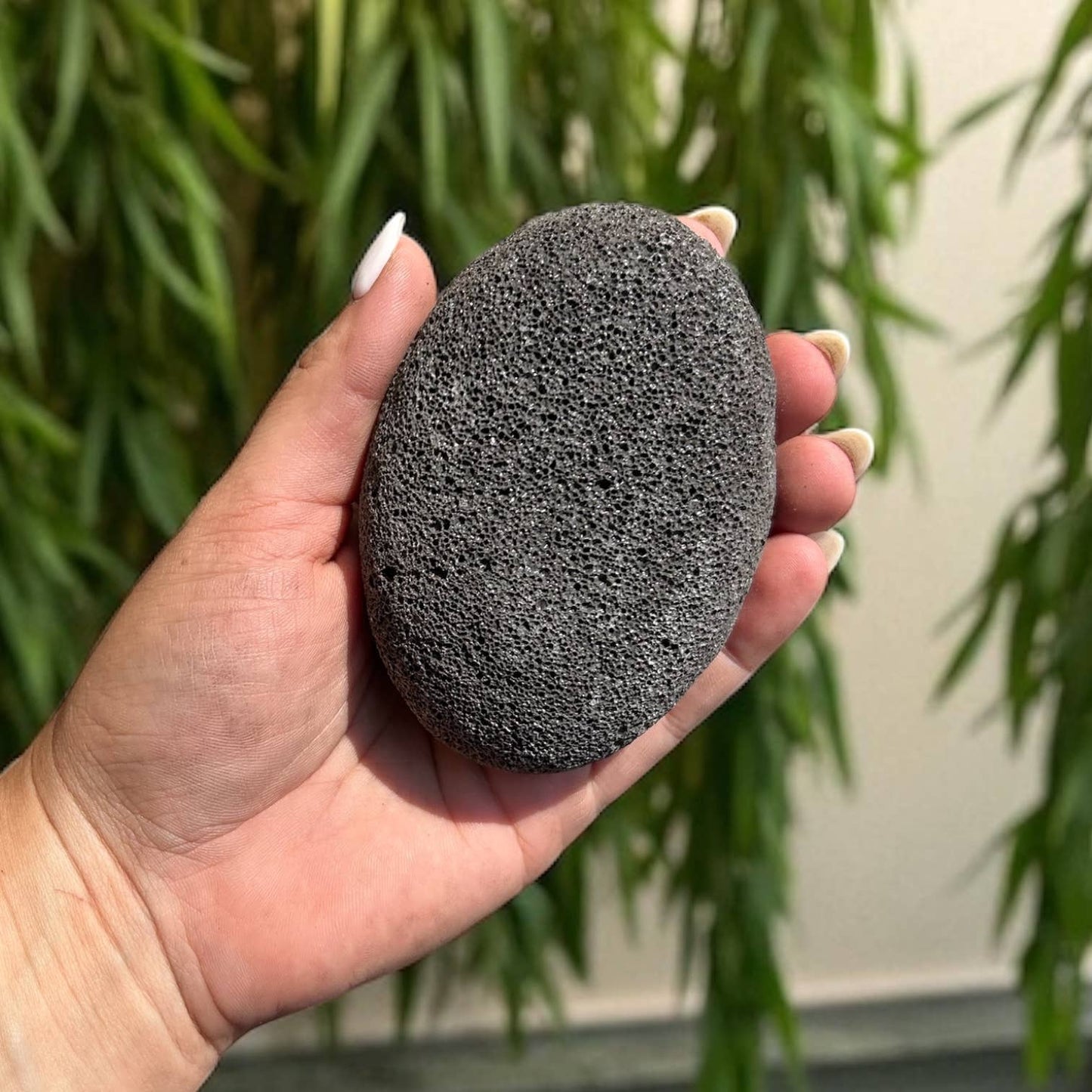 Bamboo Switch - Large Natural Pumice Foot Stone